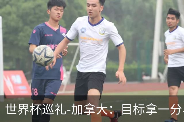 世界杯巡礼-加拿大：目标拿一分、赢一场，晋级32强