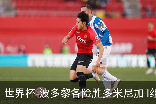 世界杯-波多黎各险胜多米尼加 I组4队均3胜1负