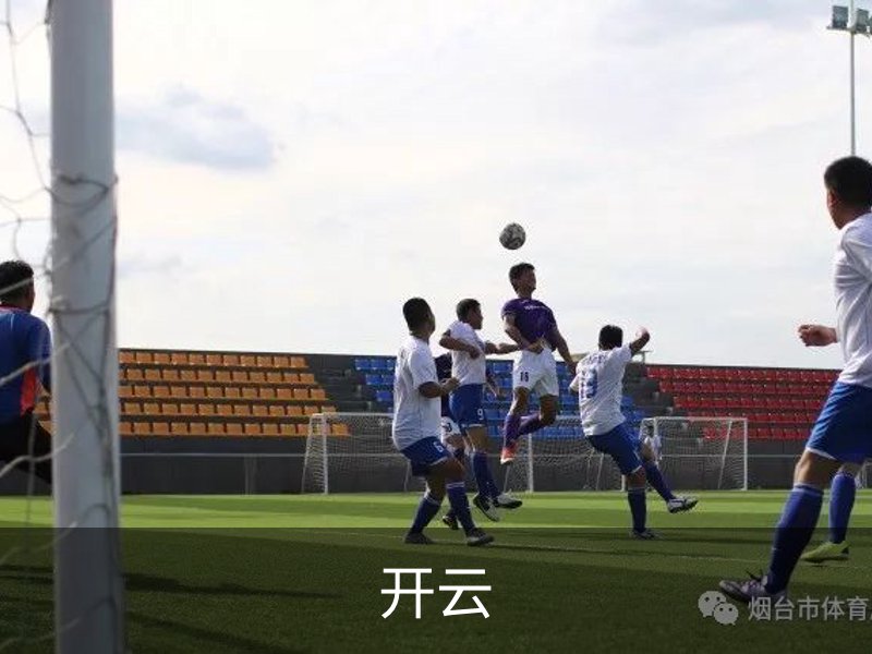 关于开云
