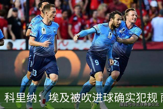 科里纳：埃及被吹进球确实犯规 萨拉赫倒地正常接触