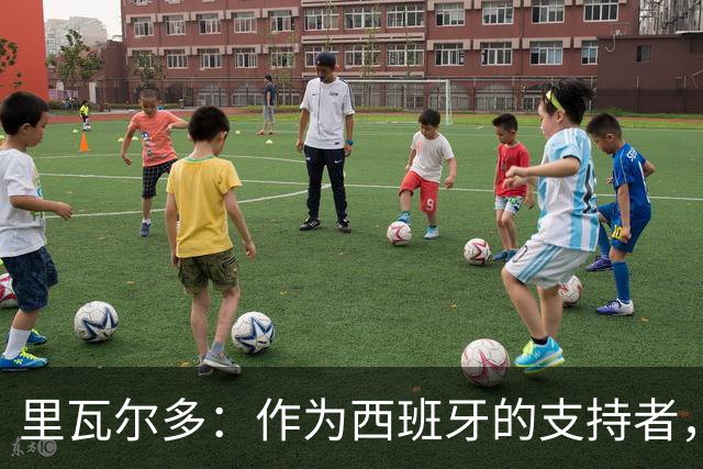 里瓦尔多：作为西班牙的支持者，我很兴奋，这个冠军实至名归